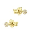 Crystal Silver Stud Earring STS-6445